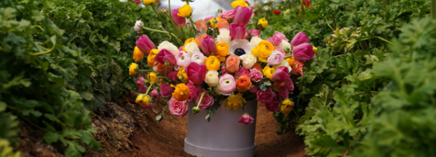 Diseño sin título (32) 1