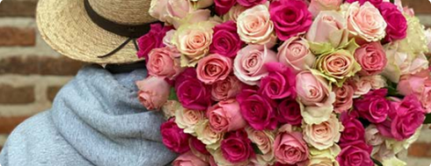 Diseño sin título (33) 1